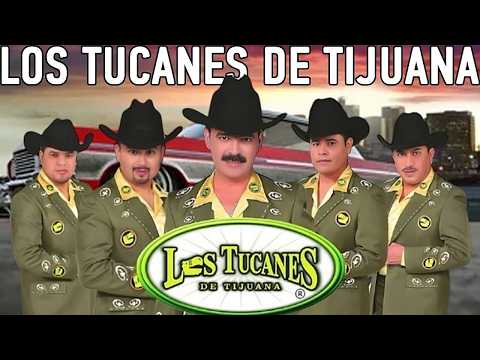 Los Tucanes De Tijuana 🎸🎸 Puros Corridos Pesados 💕 Roal Chingonas Mix 2026