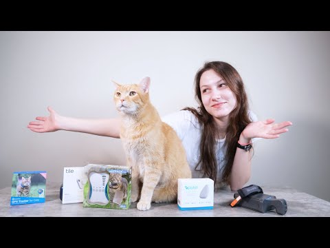 Top 5 Best Cat Trackers in 2022 (We Tested Them All)