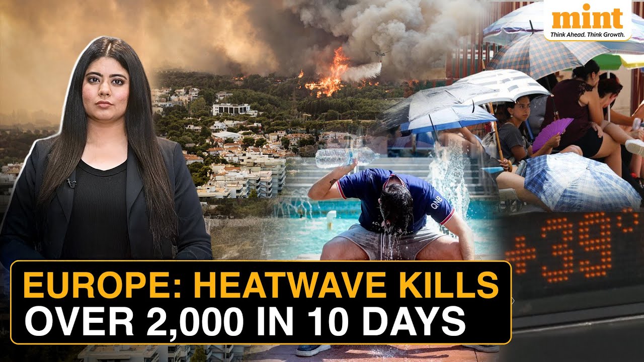 youtube video id=RIEaxJhkS1o