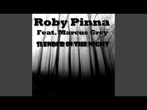 Slender in the Night (Radio Mix)