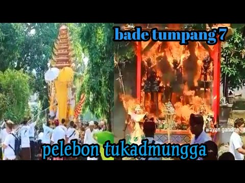 pelebon tukadmungga buleleng bade tumpang  puri kaleran.