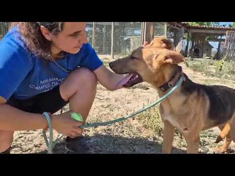 Vídeo de VITOR