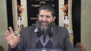 הרב אופיר טנג'י - שו"ע סימן שיט סעיף יא -חלק ב