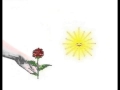 Есть на свете цветок алый-алый (The Flower and the Sun) 