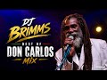 DJ BRIMMS BEST OF DON CARLOS MIX
