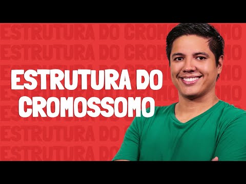 Chromosome Structure - Prof. Kennedy Ramos.