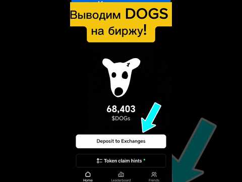 До какого числа можно вывести догс. До какого числа можно вывести догс. До какого числа можно вывести догс. До какого числа можно вывести догс. До какого числа можно вывести догс.