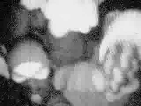 shockwave - the ultimate doom