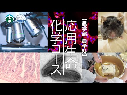 生命・食料・環境・エネルギーに関する事を分子レベルで学びたい、そんなあなたには応用生命化学コースがおすすめです