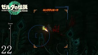 【ゼルダの伝説totkその22】グリオークより強いヤツいるの！？