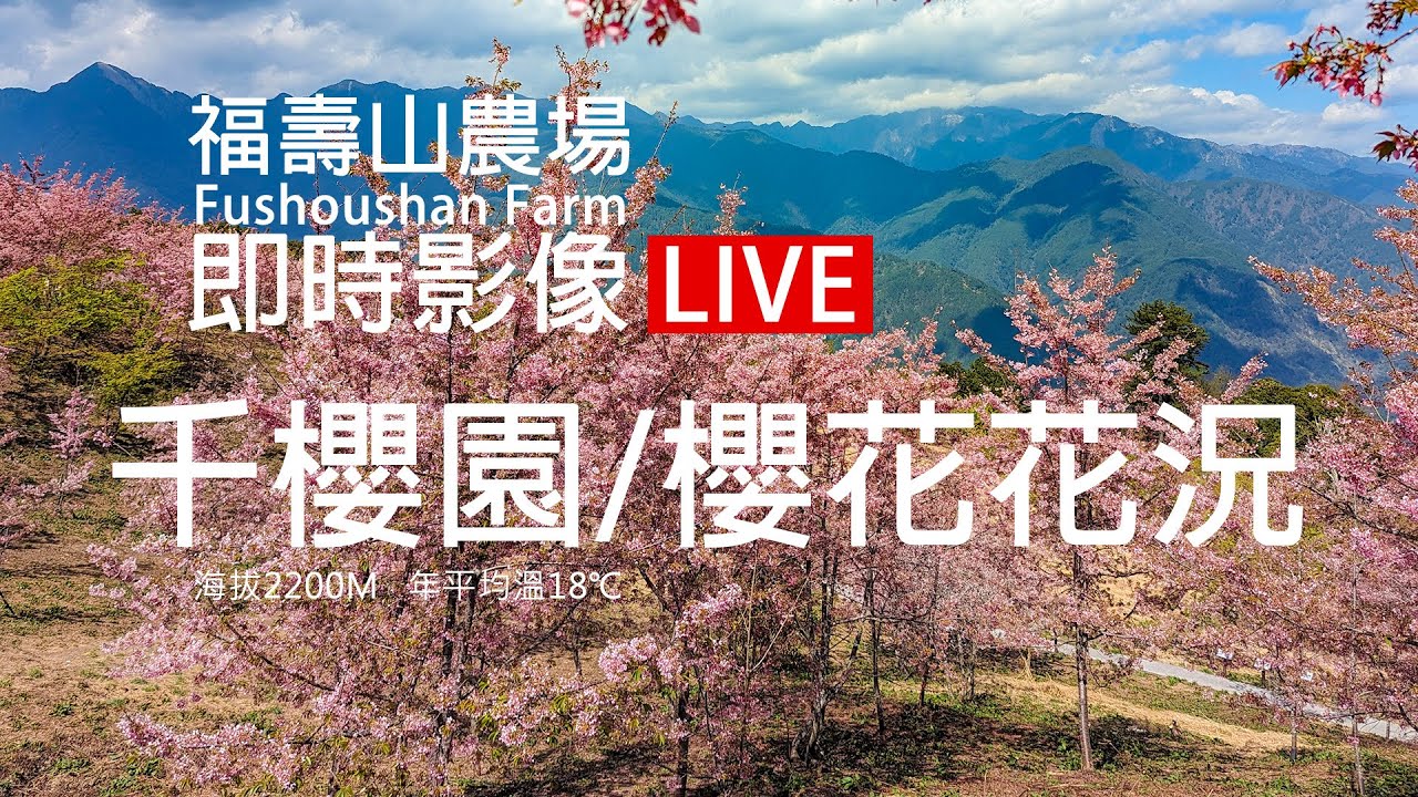 福壽山農場千櫻園