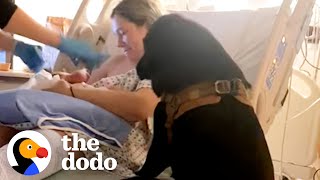 Dog Helps His Mom Deliver A Baby In The Hospital | The Dodo by The Dodo