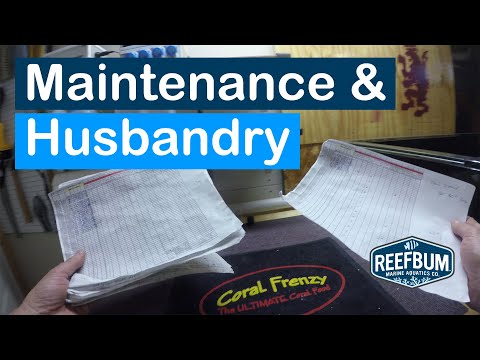 3 Glass Walls: My Peninsula Tank Build Journey, Ep #19 - Maintenance & Husbandry