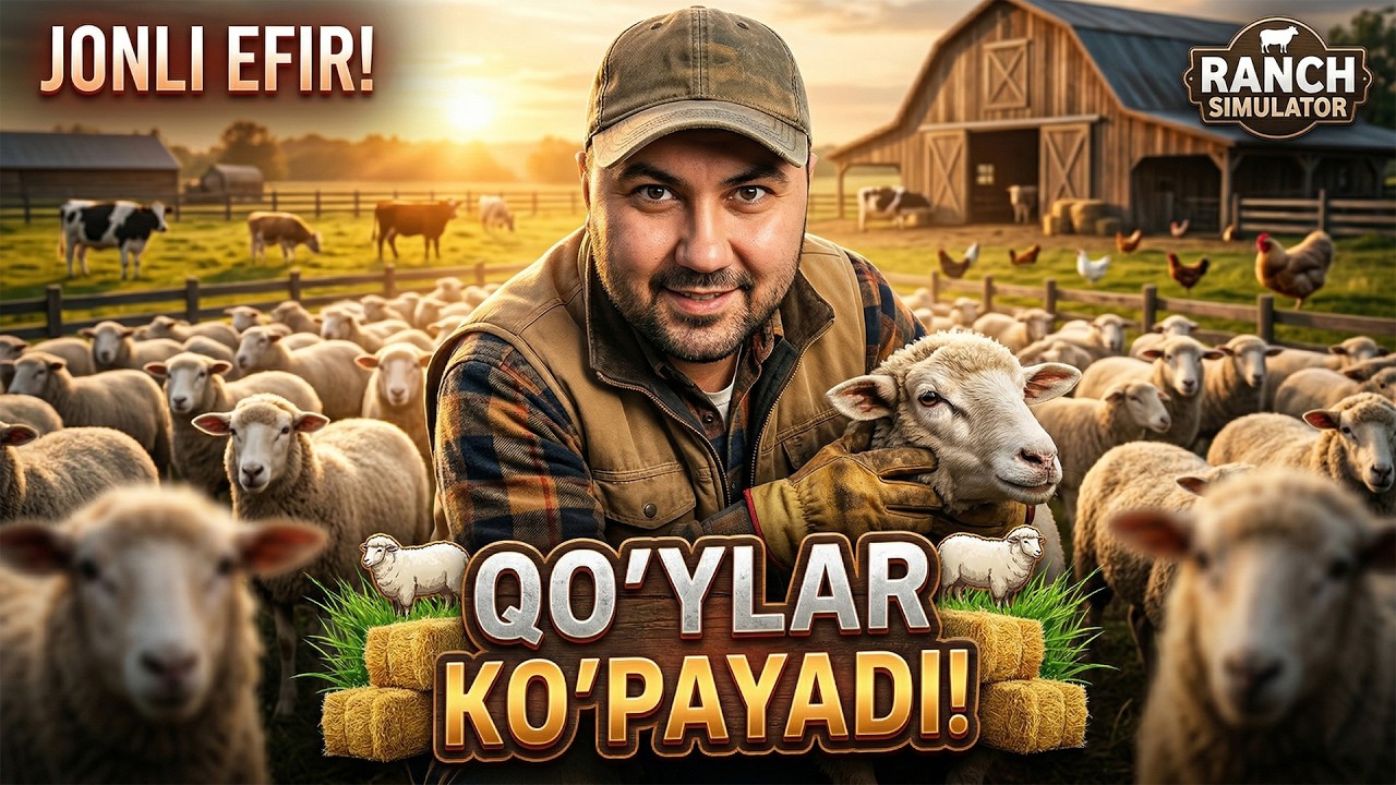 🐑QO'YLAR KO'PAYADI! — RANCH SIMULATOR (XAYRIYA)
