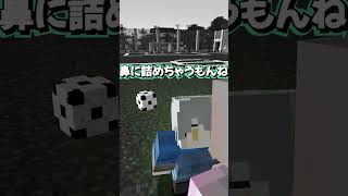 【ワールドカップ】ゾーンってやつ　#マインクラフト #マイクラ #面白集