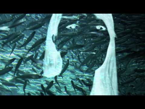 Marsbeing feat. Deniz Reno - The One (Music Video)