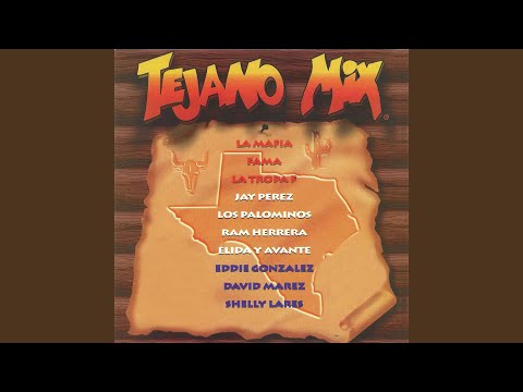 Tejano Megamix (Long Version)