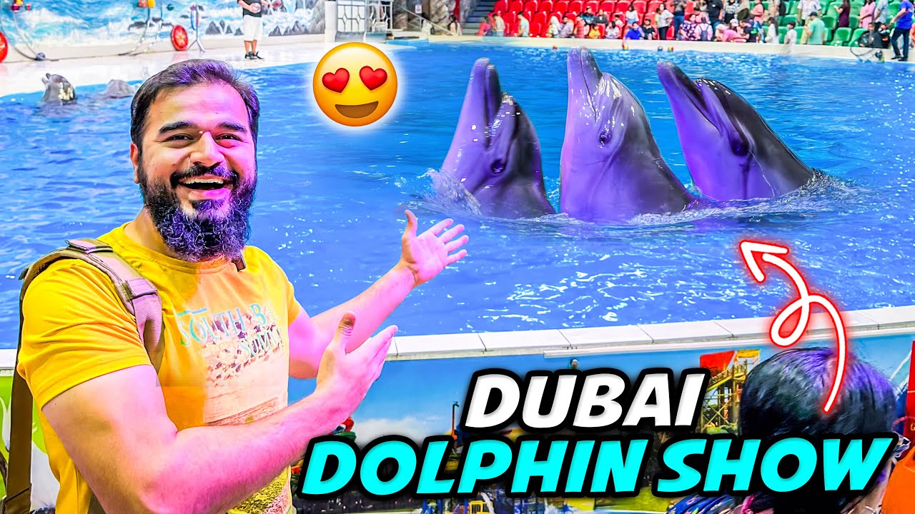 Experience magical performances at Dolphinarium through the lens of tourist.