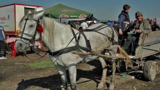 preview picture of video 'Paard en Wagen ;farmwagons romania in Roemenië HD  .wmv'