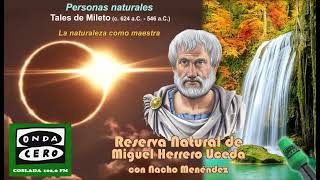 Miniatura de YouTube para: Tales de Mileto (c. 624-546 a.C.)