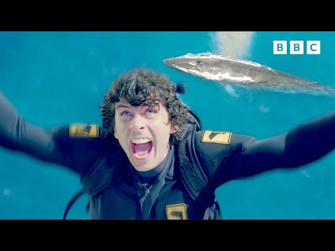 Exploring the Aquatic World MARATHON | Andy's Aquatic Adventures | Andy's Amazing Adventures