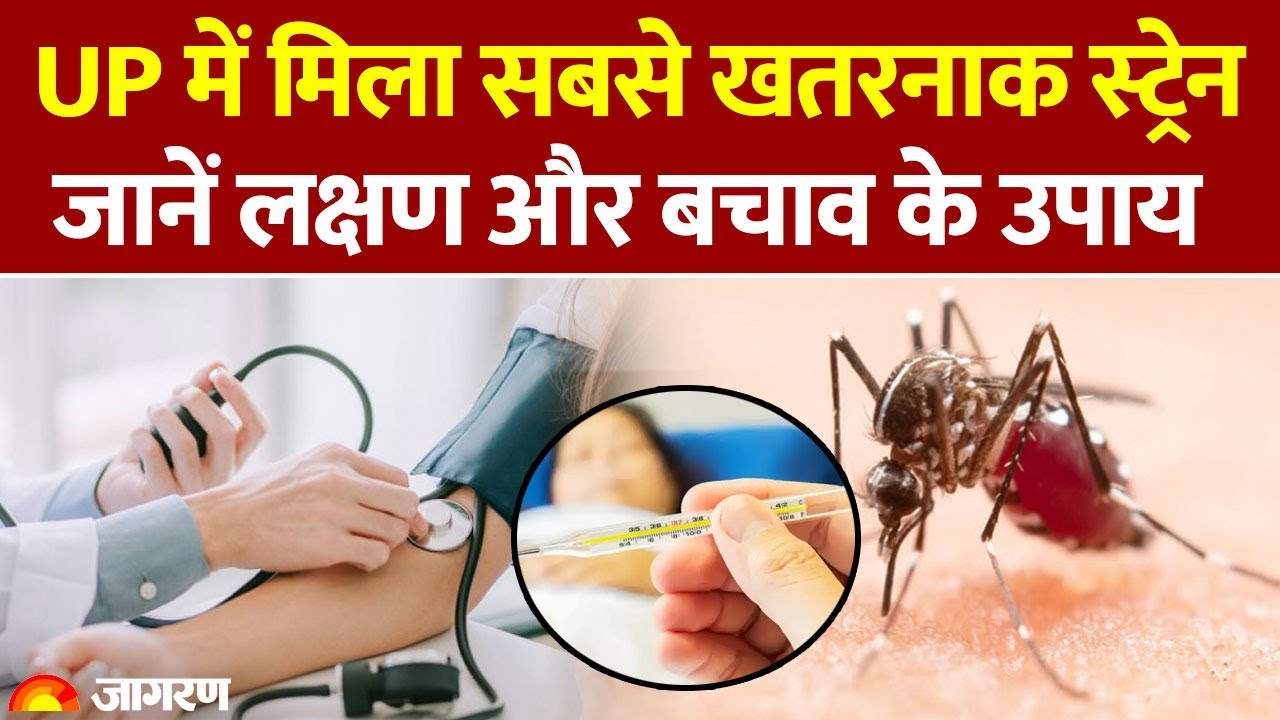 Dengue Case in India: UP में मिला सबसे खतरनाक स्ट्रेन, जानें लक्षण और बचाव के उपाय हैं। Hindi News