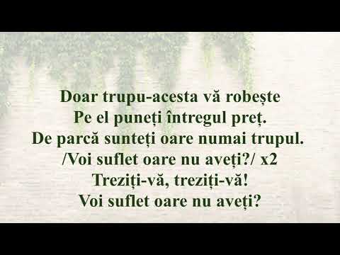 Voi numai de viața asta, vă-ngrijorați și vă vedeți (Niculiță Moldoveanu)