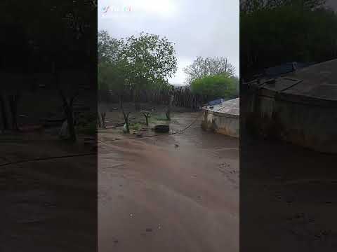 muita chuva aqui na minha região município de Isaías coelho Piauí