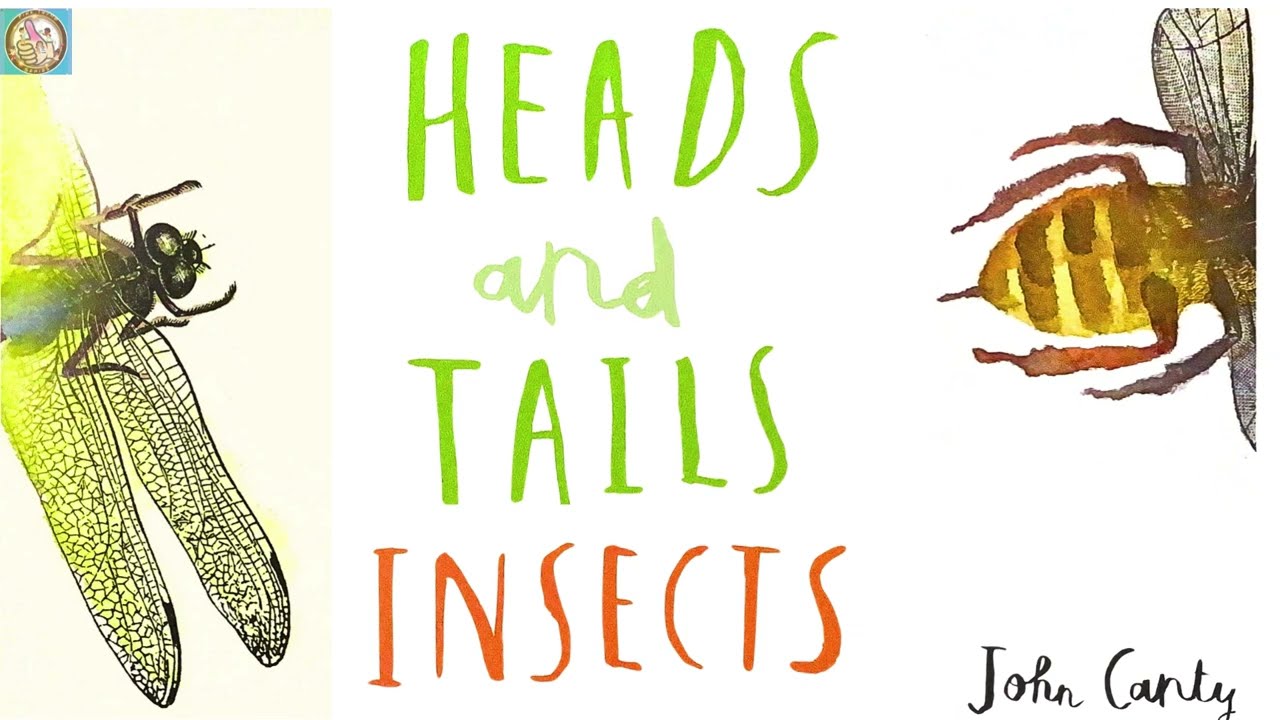 Heads and Tails  Insects  ( Animated Read Aloud ) Insect Study
