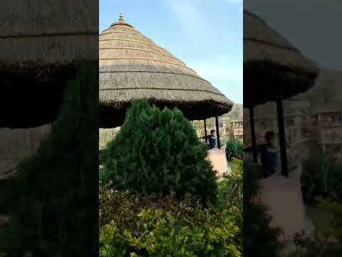 @shorts  #music #beach #travel #newsong #mittal