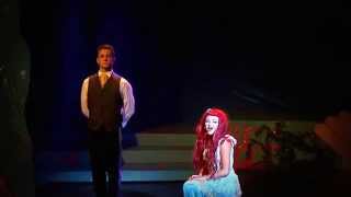 Beyond My Wildest Dreams - The Little Mermaid