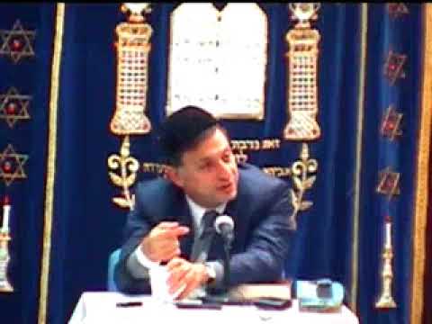 Eli Mansour   Big Bang Dinasours 15Billion Years