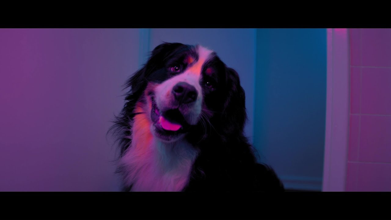 Shangrila — Happy