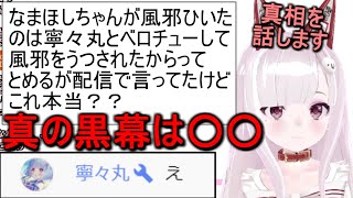 ”寧々丸ベロチュー事件”の真相を全て暴露します。悪いのは全部○○です【なまほしちゃん/切り抜き】