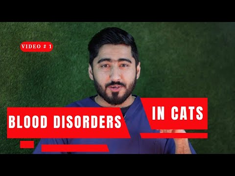 Introduction to Blood Disorders of Cats - Cat Owners || Video-1 || Animalia Dot Pk