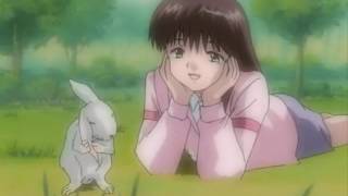 not because you&#39;re a rabbit