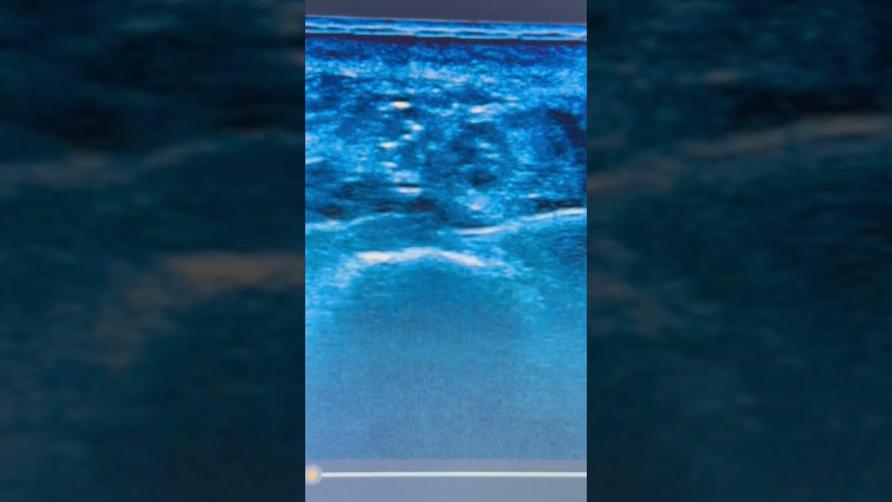 Roberto-Paolo Zambelli-28