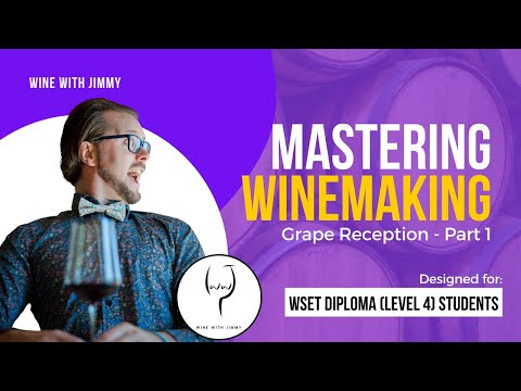 WSET Level 4 (WSET Diploma) Mastering Grape Reception Part 1 Sorting and Chilling