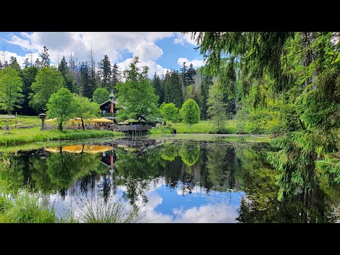 Rundtour - Zwieslerwaldhaus - Hans-Watzlik-Hain - Schwellhäusl - am Schwellsteig zurück