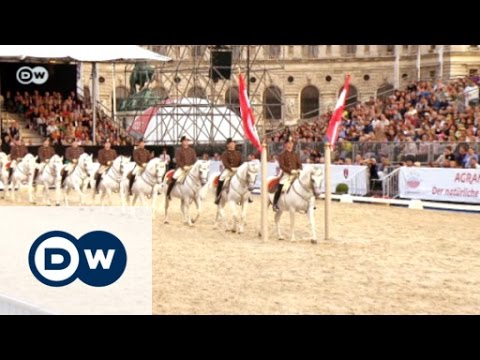 450 Jahre Spanische Hofreitschule | Euromaxx