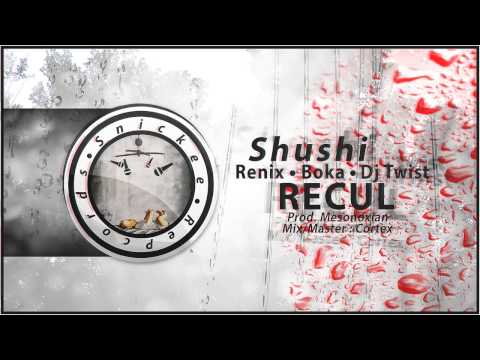 Shushi feat. Renix, Boka & Dj Twist - Recul (prod. Mesonoxian)