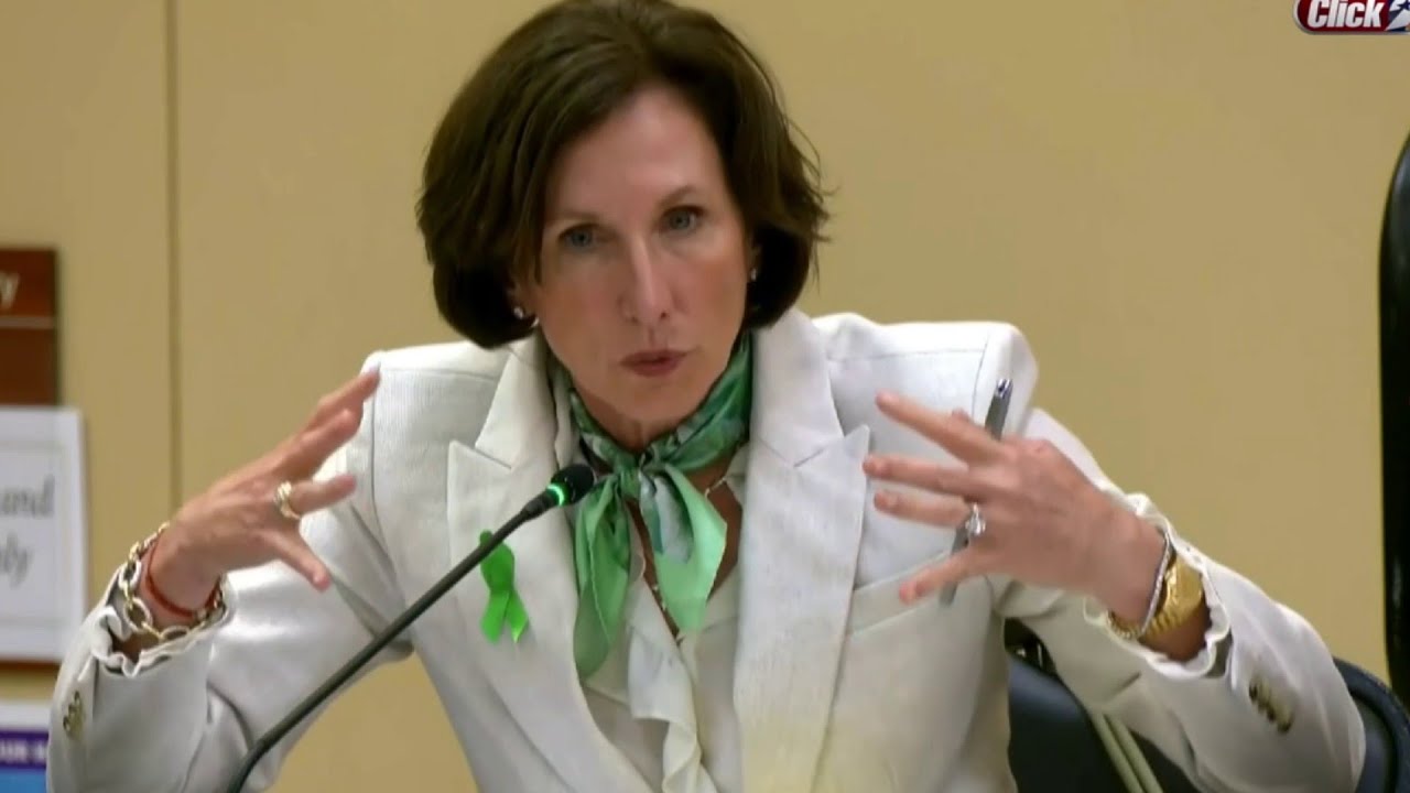 Sen. Kolkhorst: ‘Volunteers being turned away’ in Texas flood zones