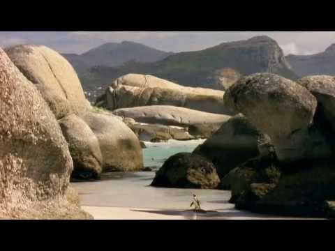 Earth Story