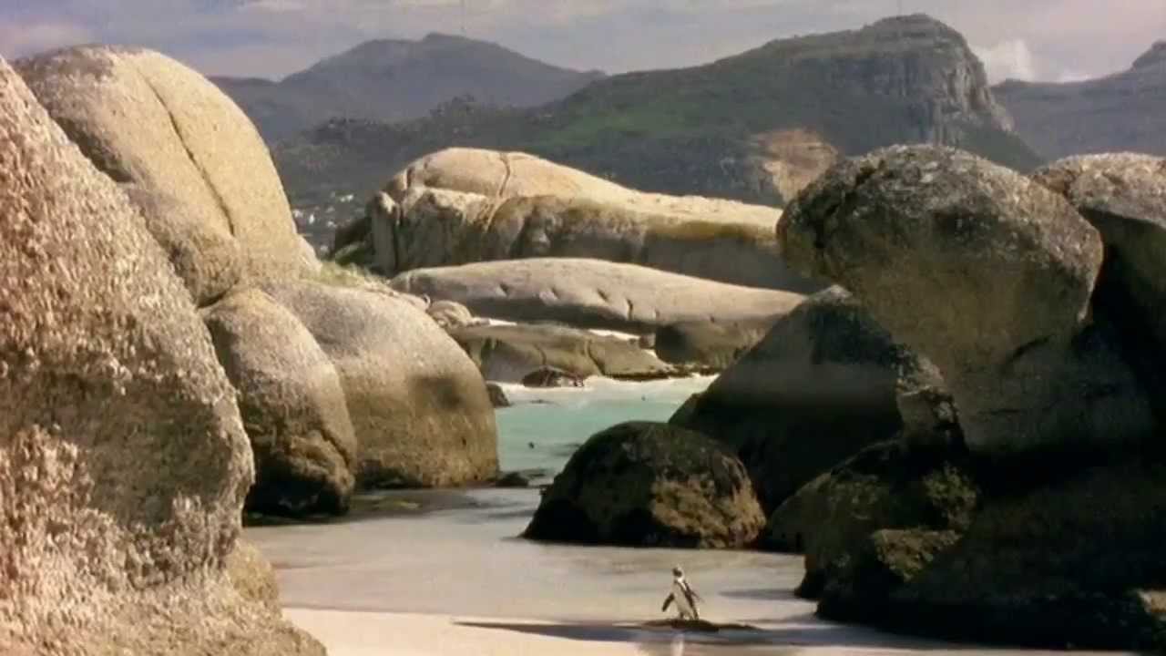 Earth Story