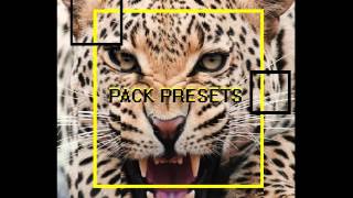 Pack Presets Sylenth, Massive 2014 Wolf & Dog, dirty dutch, big room, electro house