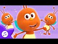 Firefly Boogie Bugs