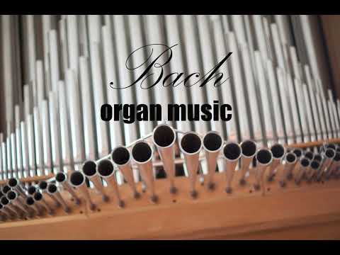 Bach ~ classic organ music (no copyright)
