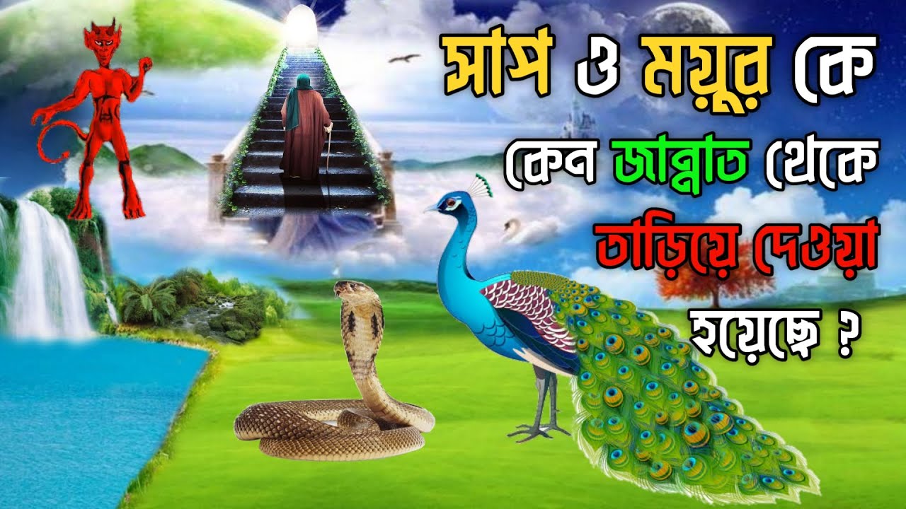 সাপ ও ময়ুরকে কেন জান্নাত থেকে তাড়িয়ে দেওয়া হয়েছিলো || শয়তান যেভাবে আদম আঃ কে ধোকা দিয়েছিলো