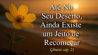 Quando a Vida Te Obriga a Recomeçar