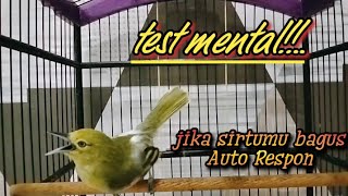 Download lagu sirtu manapun pasti akan langsung naik birahi dengar tantangan sirtu ini. COBA BUKTIKAN!.. mp3